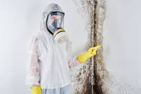 Best Biohazard Mold Removal  in Ke Charles, LA